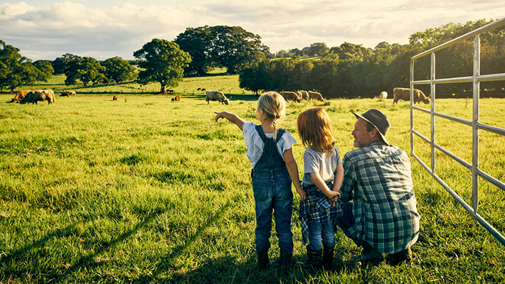 標準家庭農(nóng)場方案
